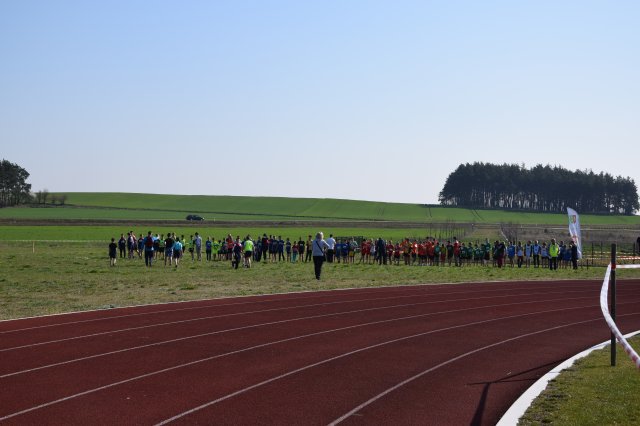 biegikwi 41